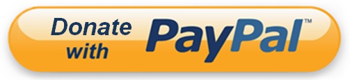 donatewithpaypal.media